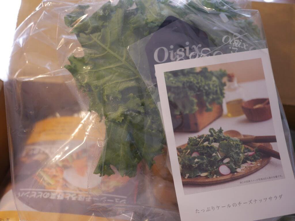 キットオイシックス おためし ケールサラダ