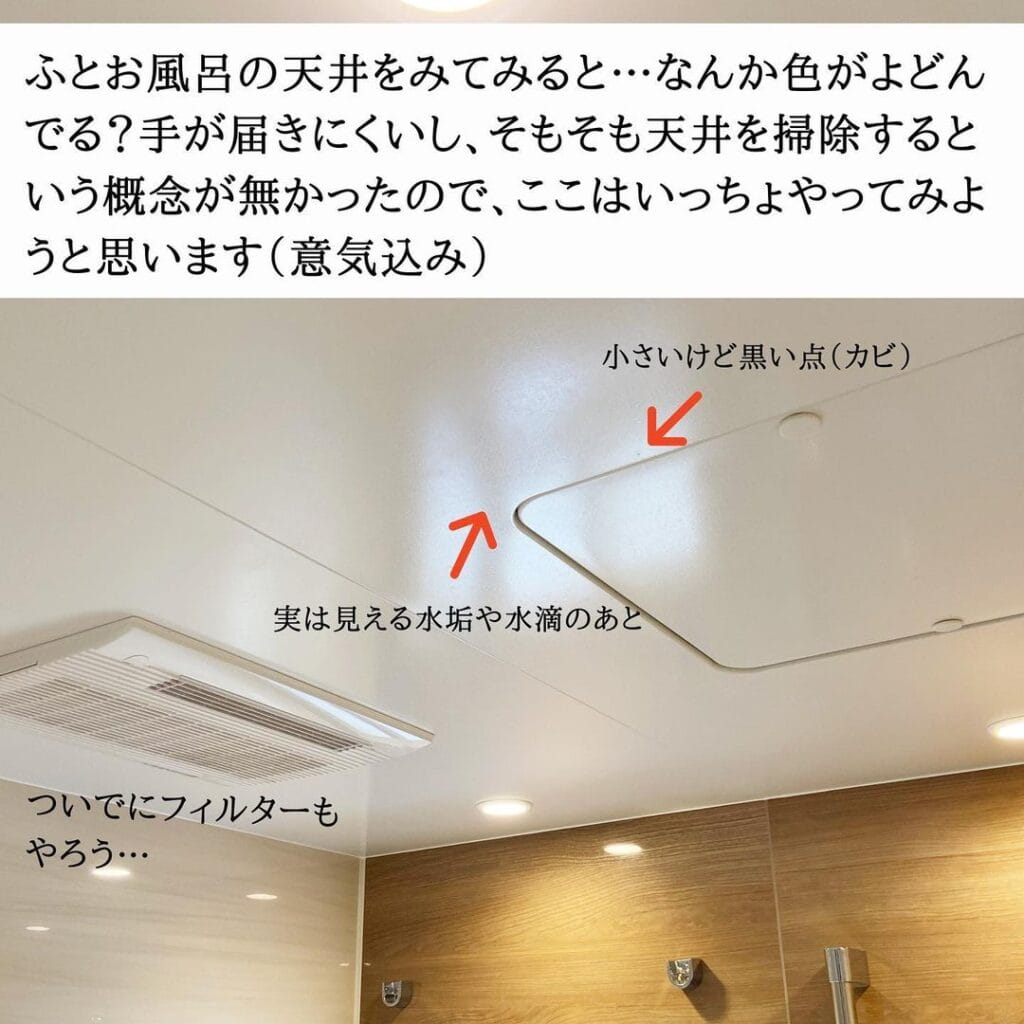 130166195_388287048917620_1410528948644730740_n | ハウスクリーニング業者比較サイト お風呂天井の水垢汚れや黒い点(カビ)